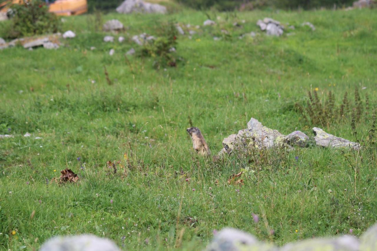 Les Arcs 1800 Ruitor Διαμέρισμα Εξωτερικό φωτογραφία